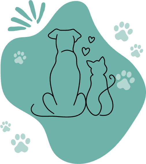 Dog and cat registration illustration