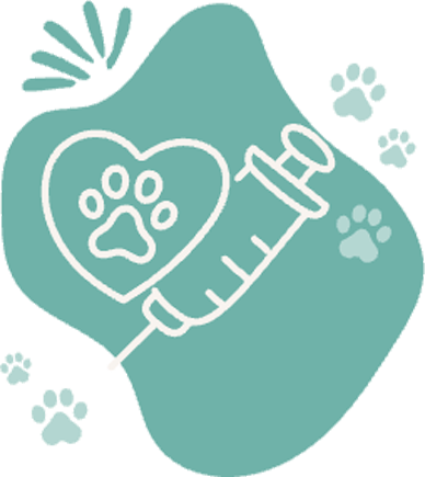 Dog and cat registration illustration